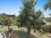 29 Diamantina Circuit, Pacific Pines, Qld 4211-Image