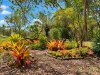 29 Diamantina Drive, Howard, Qld 4659-Image
