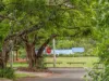 29 Diane Street, Yeronga, Qld 4104-Image