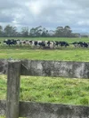 29 DIXONS ROAD, Christmas Hills, Tas 7330-Image