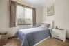 29 Ellenor Street, Scottsdale, Tas 7260-Image