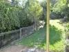 29 Frederick Street, Taringa, Qld 4068-Image