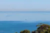 29 Grandview Terrace, Mount Martha, Vic 3934-Image