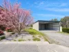 29 Gray Road, St Marys, Tas 7215-Image