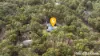 29 Hakea Close, Nowra Hill, NSW 2540-Image