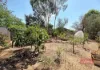 29 Homer Street, Narrogin, WA 6312-Image