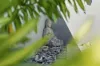 29 Homevale Entrance, Mount Peter, Qld 4869-Image