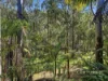 29 Ibis Drive, Boambee East, NSW 2452-Image