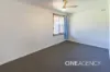 29 JENKINS STREET, Ashmont, NSW 2650-Image