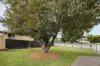 29 Jude Street, Bracken Ridge, Qld 4017-Image