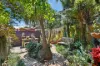 29 Kent Street, Newtown, NSW 2042-Image