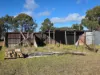 29 Kurrajong Lane, Applethorpe, Qld 4378-Image