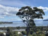 29 Lagoon Road, White Beach, Tas 7184-Image