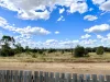 29 LANGFORD Court, Moranbah, Qld 4744-Image