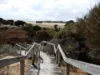 29 Leander Avenue, Baudin Beach, SA 5222-Image