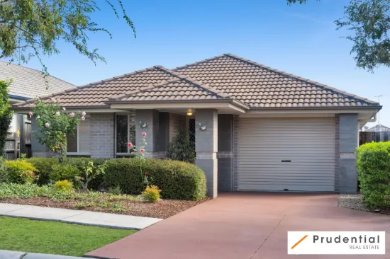 29 Longley Avenue, Elderslie, NSW 2570