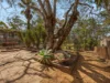 29 Luckie Crescent, Tivoli, Qld 4305-Image