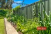 29 Mackay Street, Dungog, NSW 2420-Image