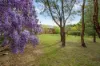29 Manning Street, Binalong NSW 2584-Image