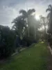 29 Mcguire Circuit, Moulden, NT 0830-Image