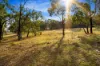 29 Mcintoshs Lane, Snake Valley, Vic 3351-Image