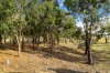 29 Mcintoshs Lane, Snake Valley, Vic 3351-Image