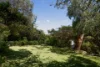29 Minnamurra Road, Northbridge NSW 2063-Image