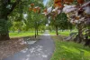 29 Molesworth Street, North Adelaide, SA 5006-Image