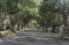 29 Moloney Street, North Toowoomba, Qld 4350-Image