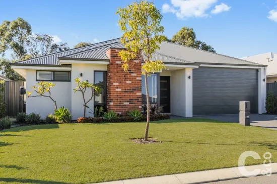 29 Moodjar Way, Baldivis, WA 6171