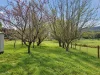 29 Morrison Street, Kimberley, Tas 7304-Image