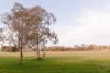 29 Moruya Circuit, Kaleen, ACT 2617-Image