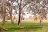 29 Moruya Circuit, Kaleen, ACT 2617-Image