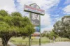 29 Newbury Street, Balga, WA 6061-Image