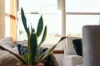 29 Nixon Street, Devonport, Tas 7310-Image