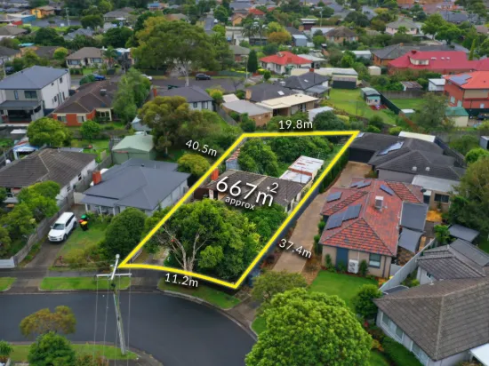 29 Nullawil Street, Springvale, Vic 3171