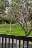 29 Osney Avenue, Ivanhoe, Vic 3079-Image