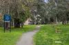 29 Osney Avenue, Ivanhoe, Vic 3079-Image