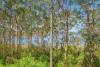 29 Payne Road, Denmark, WA 6333-Image