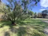 29 Penelope Street, St Helens, Tas 7216-Image