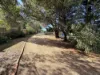 29 Penelope Street, St Helens, Tas 7216-Image