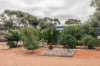29 Radnor Road, York, WA 6302-Image