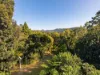 29 Reynella Road, Tallebudgera, Qld 4228-Image
