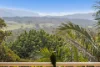 29 Riversdale Avenue, Kiama Downs, NSW 2533-Image