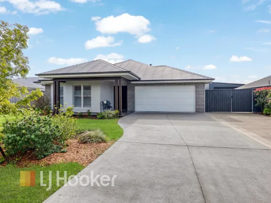 29 Royal Avenue, Medowie, NSW 2318
