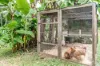 29 Shields Court, Eumundi, Qld 4562-Image