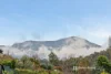29 Strickland Avenue, South Hobart, Tas 7004-Image