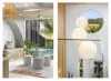 29 Sugar Mill Road, Palmview, Qld 4553-Image