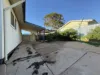 29 Sylvia Avenue, Port Augusta, SA 5700-Image