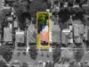 29 The Drive, Concord West, NSW 2138-Image